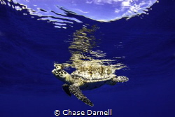 West Side, Grand Cayman
Canon 550D Iketlite Housing by Chase Darnell 